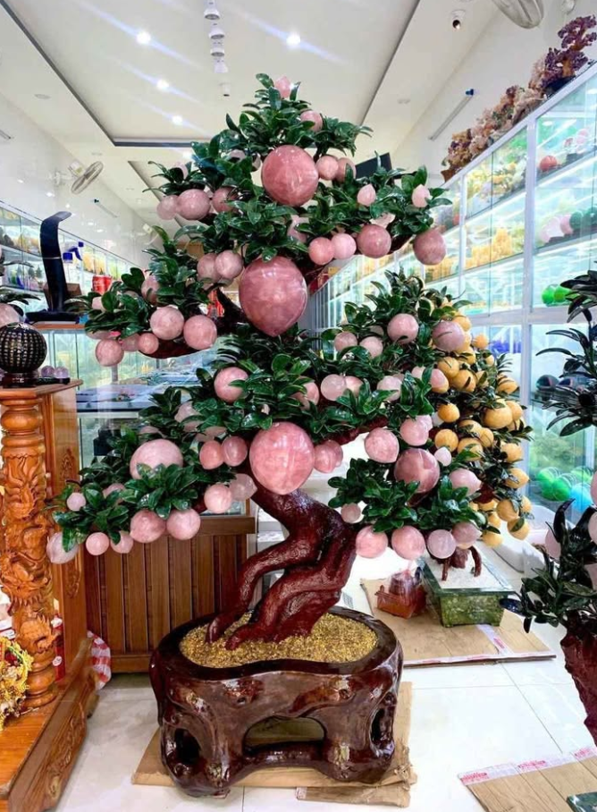 Cây đào thạch anh hồng 88 quả